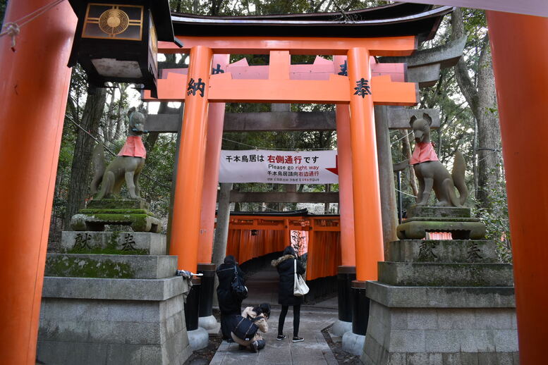 京都初詣_オススメの見どころ_伏見稲荷と千本鳥居