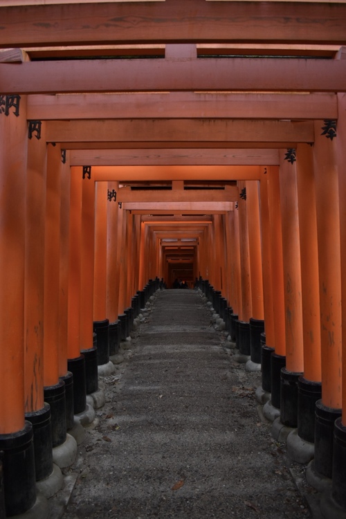 京都初詣_オススメの見どころ_伏見稲荷と千本鳥居