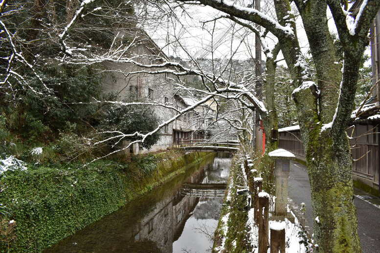 城崎温泉の雪景色_木屋町通り