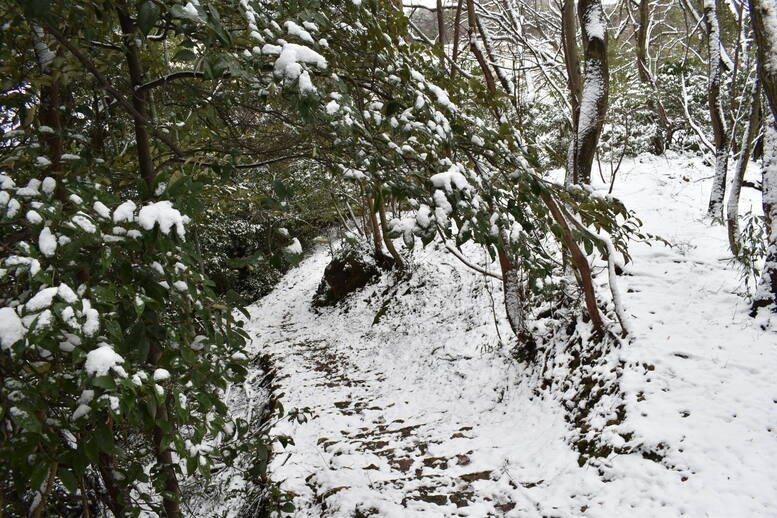 城崎温泉の雪景色_トレッキングコースの雪