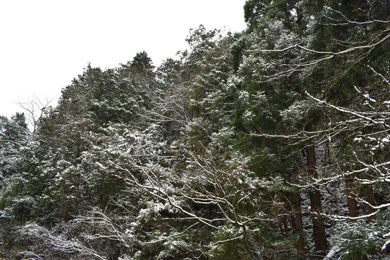 雪に染まる城崎温泉_西村屋ホテル招月庭