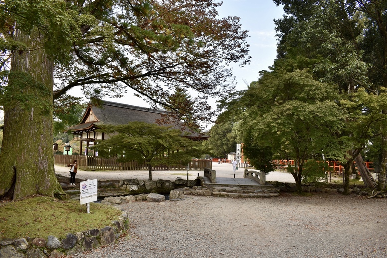 上賀茂神社ひとり旅-渉渓園