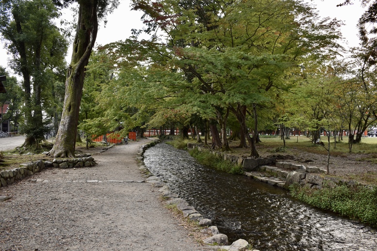 上賀茂神社ひとり旅-渉渓園とならの小川