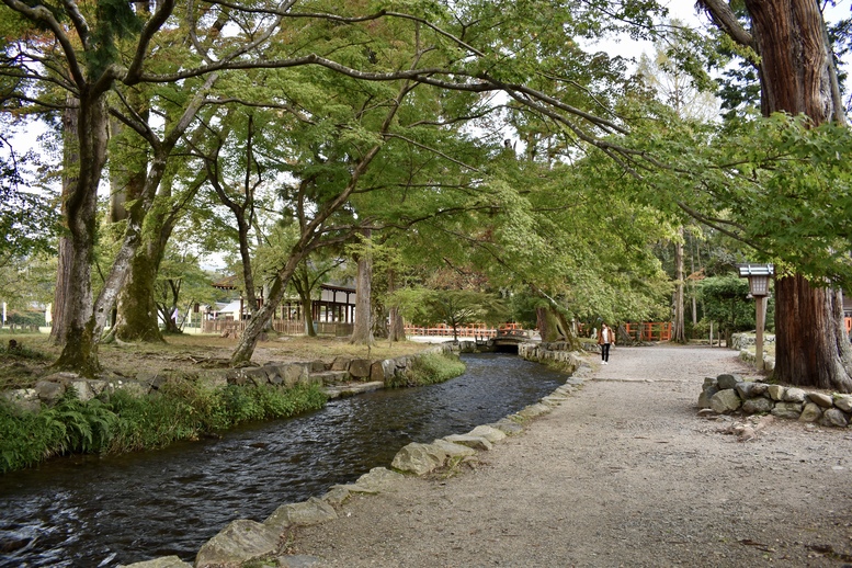 上賀茂神社ひとり旅-渉渓園とならの小川