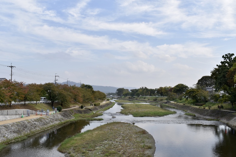 上賀茂神社ひとり旅-秋の賀茂川をレンタサイクル