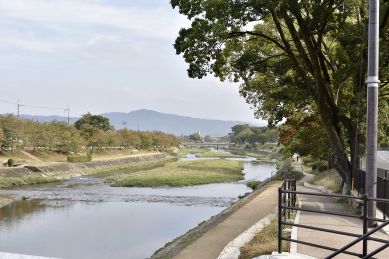 上賀茂神社ひとり旅-秋の賀茂川をレンタサイクル