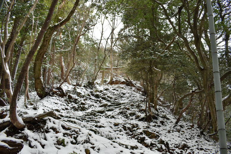 城崎温泉の雪景色_トレッキングコースの雪_鳥居