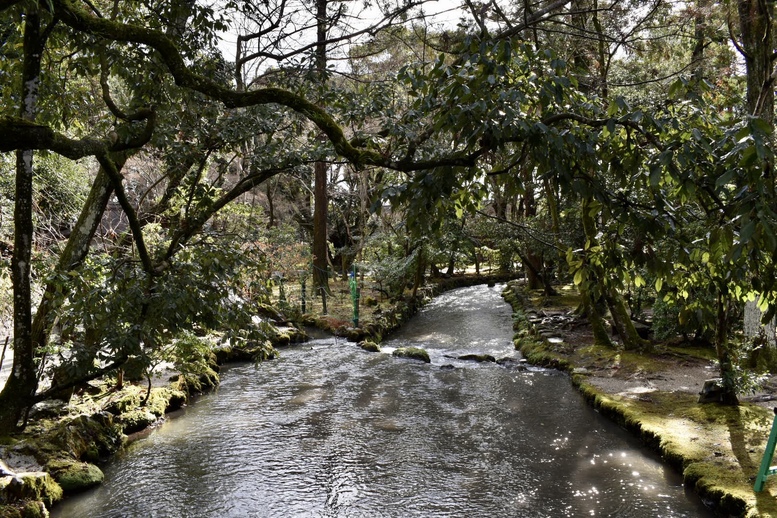 年始の上賀茂神社ひとり旅-渉渓園