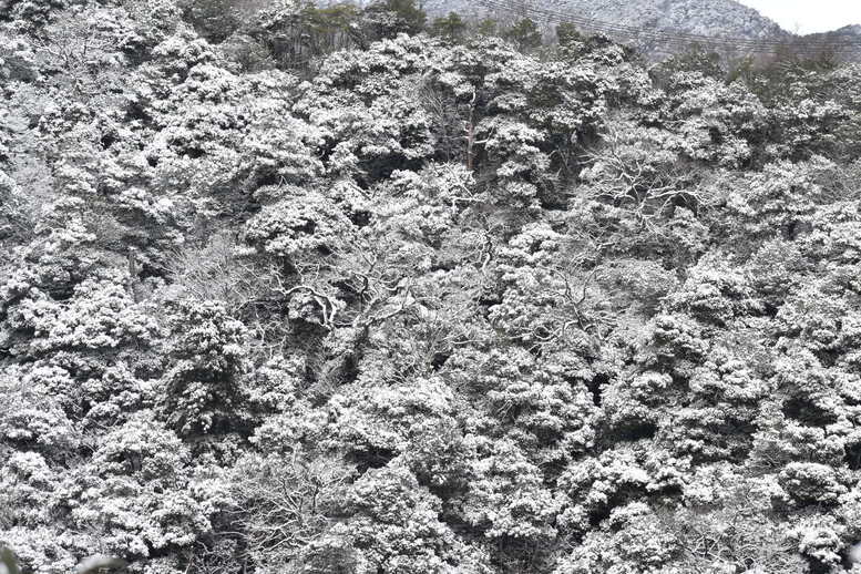 城崎温泉の雪景色_トレッキングコースからの見晴らし_山々の絶景