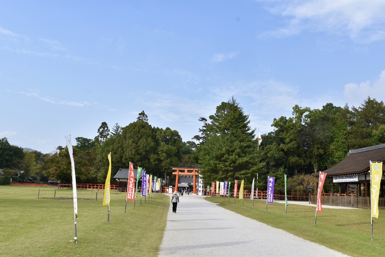 上賀茂神社ひとり旅-参道