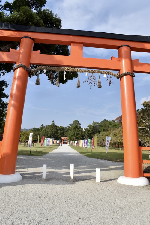 上賀茂神社ひとり旅-参道と一の鳥居
