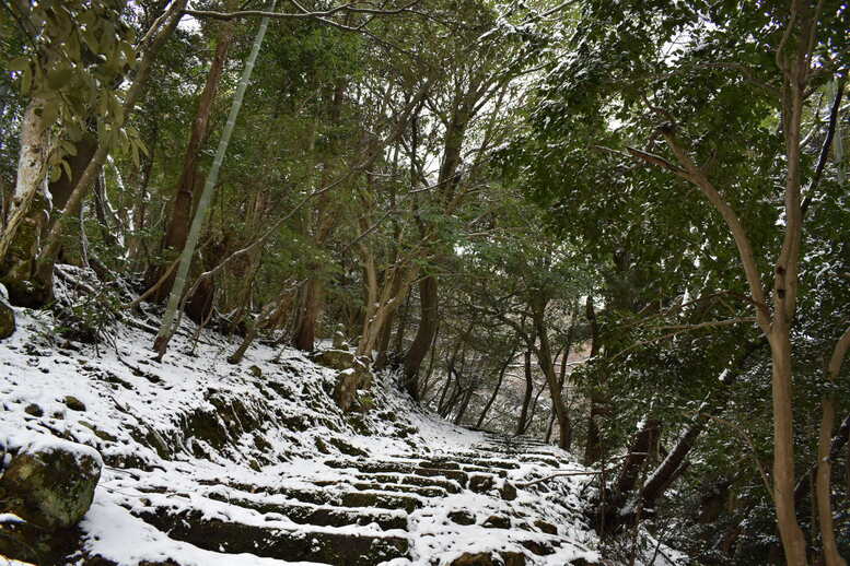 城崎温泉の雪景色_トレッキングコースの雪