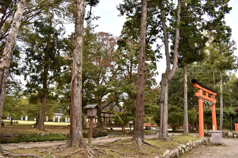 上賀茂神社ひとり旅-渉渓園