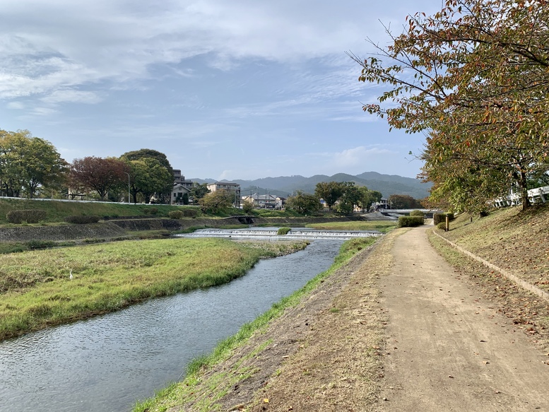 上賀茂神社ひとり旅-賀茂川レンタサイクル