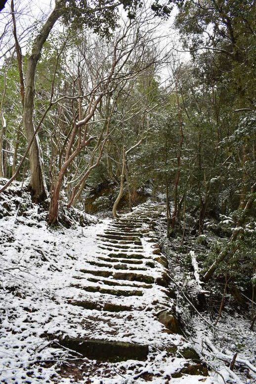 城崎温泉の雪景色_トレッキングコースの雪