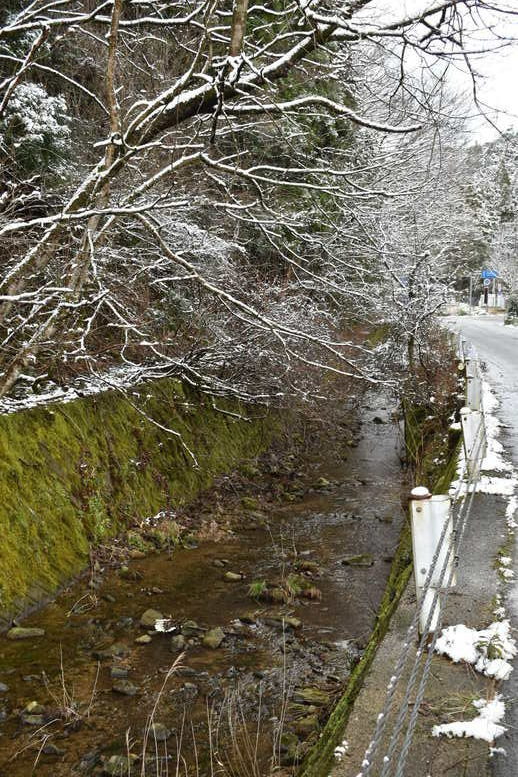 雪に染まった城崎温泉_リゾートバイト中のお散歩