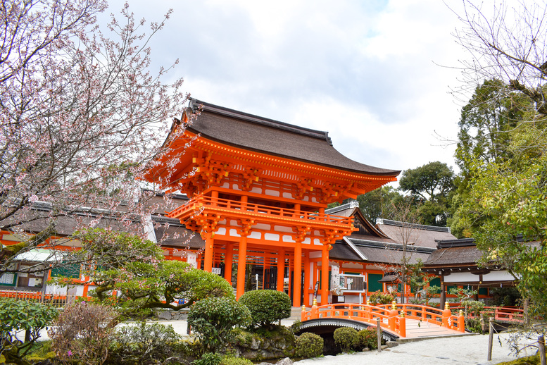 春の上賀茂神社ひとり旅_楼門と桜