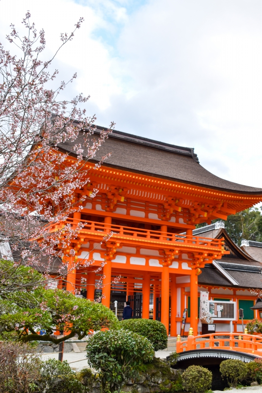 春の上賀茂神社ひとり旅_楼門と桜