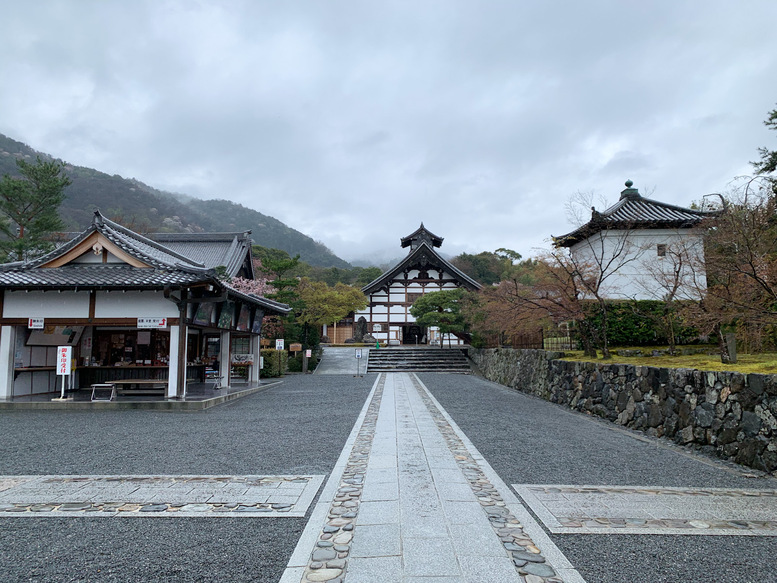 春の京都の見どころ_嵐山の名所_天龍寺の桜