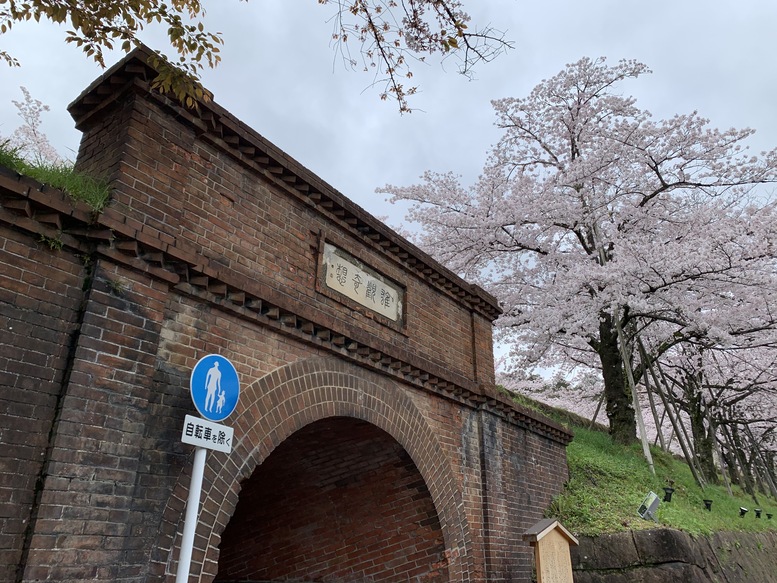 春の京都の名所観光_蹴上インクライン_桜の見どころ_ねじりまんぽ