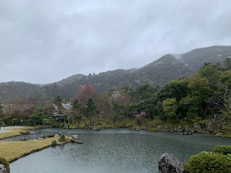 春の京都の見どころ_嵐山の名所_天龍寺の桜_百花苑の花々