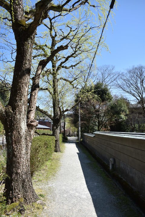 春の城崎温泉_リゾートバイトの振り返り