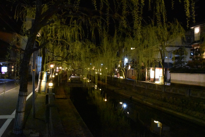 城崎温泉の風景_夜のライトアップ