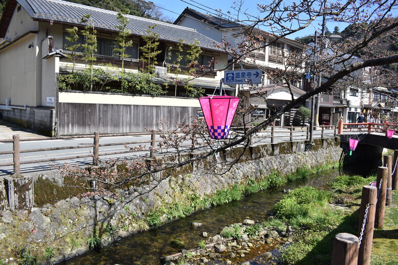 春の城崎温泉_観光地風景_桜の蕾と灯籠