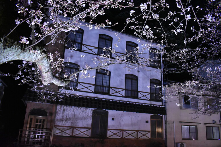 城崎温泉の風景_木屋町通りのライトアップ_夜桜