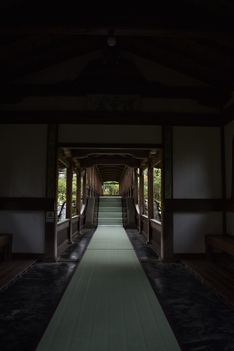 春の京都の見どころ_嵐山の名所_天龍寺の桜_茶室
