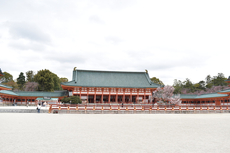 春の京都の名所観光_平安神宮_大極殿と桜