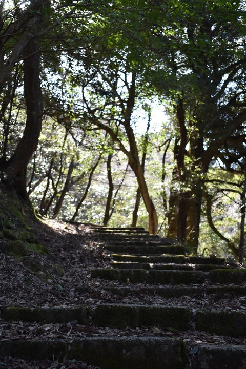 城崎温泉の風景_温泉街の自然_トレッキング