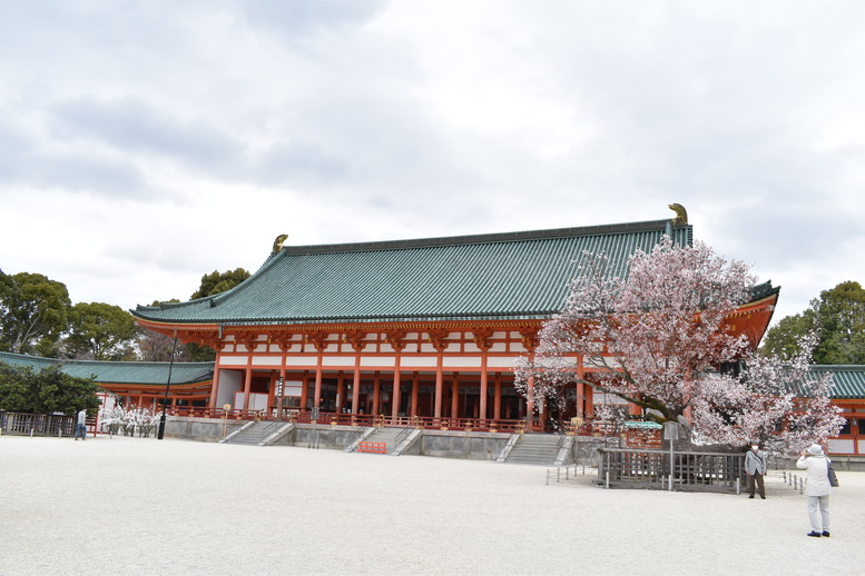 春の京都の名所観光_平安神宮_大極殿と桜