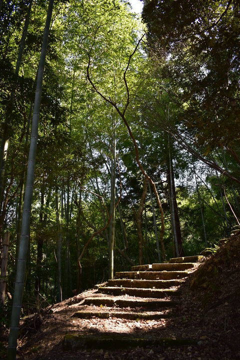 城崎温泉の風景_温泉街の自然_トレッキング