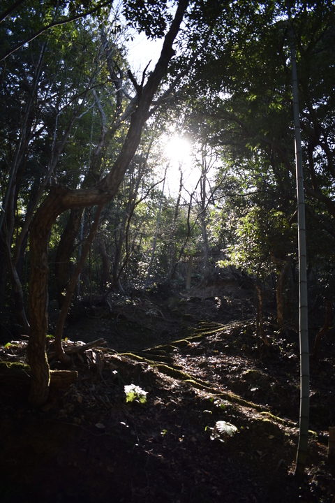 城崎温泉の風景_温泉街の自然_トレッキング