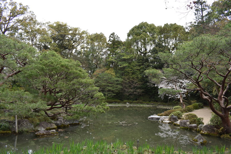 春の京都の名所観光_平安神宮神苑_西神苑の白虎池