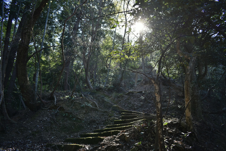 城崎温泉の風景_温泉街の自然_トレッキング