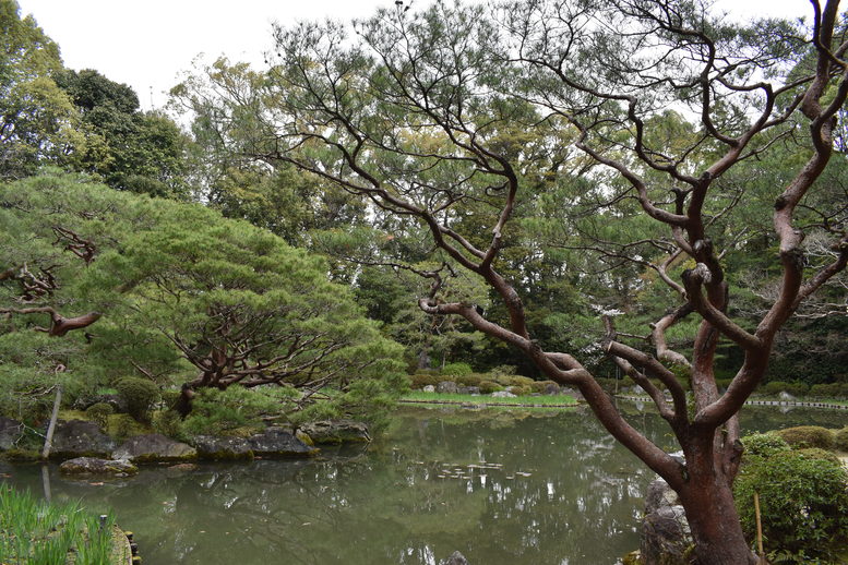 春の京都の名所観光_平安神宮神苑_西神苑の白虎池