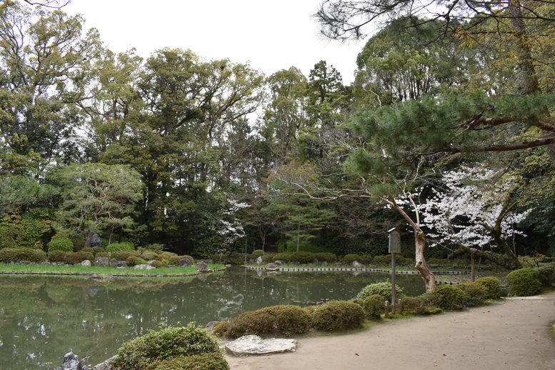 春の京都の名所観光_平安神宮神苑_西神苑の白虎池