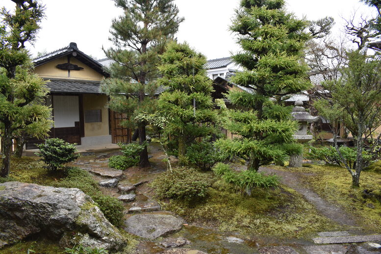 春の京都の見どころ_嵐山の名所_天龍寺の桜_茶室の侘び寂び