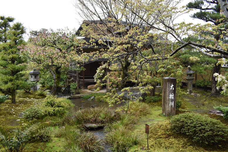 春の京都の見どころ_嵐山の名所_天龍寺の桜_茶室の侘び寂び