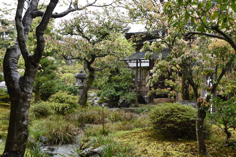 春の京都の見どころ_嵐山の名所_天龍寺の桜_茶室の侘び寂び