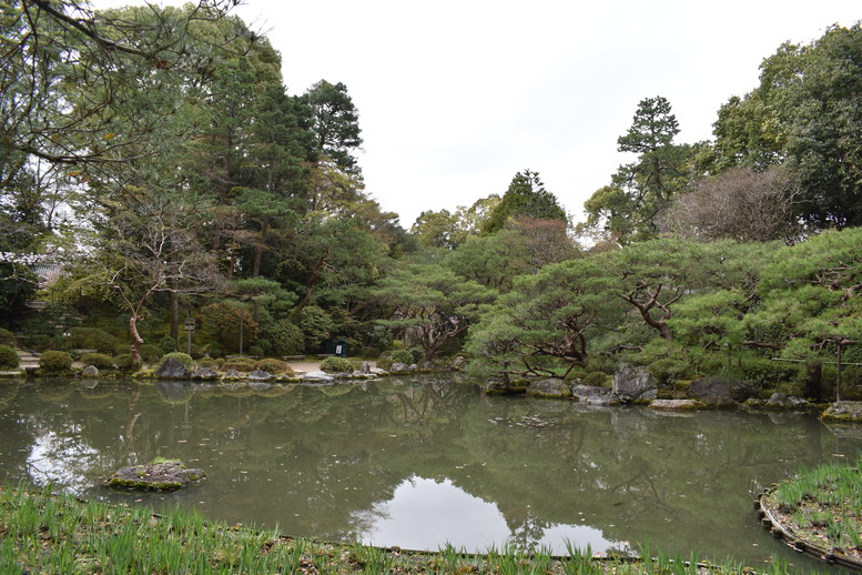 春の京都の名所観光_平安神宮神苑_西神苑の白虎池と花菖蒲