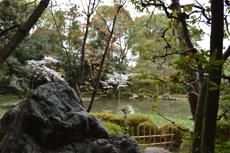 春の京都の名所観光_平安神宮神苑_西神苑の白虎池と花菖蒲