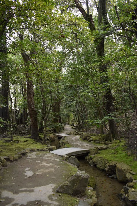 春の京都の名所観光_平安神宮神苑_西神苑から中神苑への道