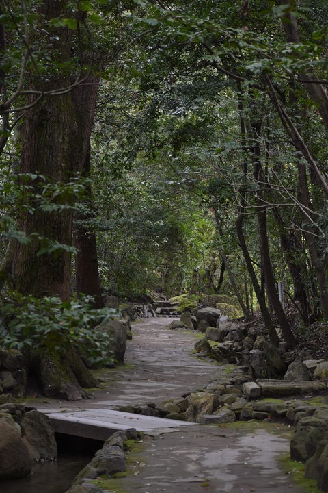 春の京都の名所観光_平安神宮神苑_西神苑から中神苑への道