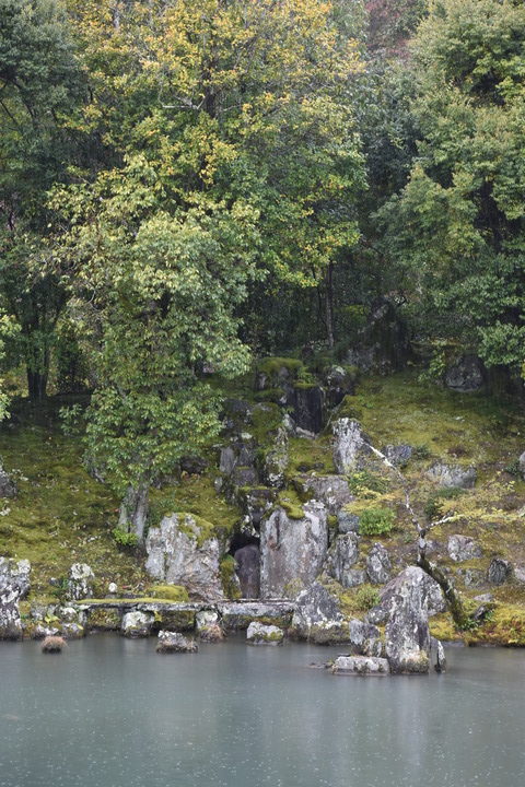 春の京都の見どころ_嵐山の名所_天龍寺の桜_曹源池庭園