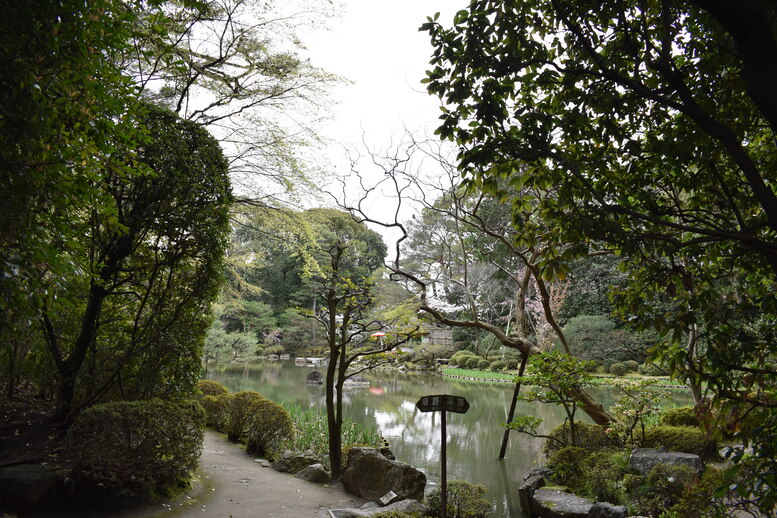 春の京都の名所観光_平安神宮神苑_中神苑の蒼龍池