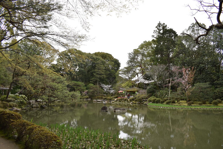 春の京都の名所観光_平安神宮神苑_中神苑の蒼龍池