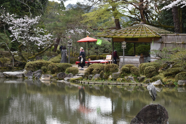 春の京都の名所観光_平安神宮神苑_中神苑の蒼龍池_鷺と茶屋の和な風景
